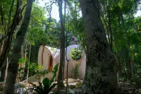Unique Jungle Dome 2 Queen Beds