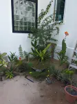 Captain's Cabin Resort Hotels in Panji