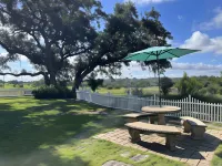 The Alexander at Creek Road