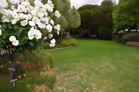 Orana Windmill Motel Hotels in Gilgandra