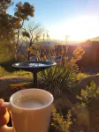 SureStay Hotel by Best Western the Clarence on Melville Hotels in Albany