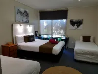 Bidgee Motor Inn - Motels