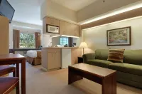 Microtel Inn & Suites by Wyndham Bloomington MSP Airport