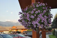 Yellowstone Village Inn and Suites - Pysäköinti