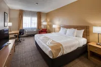 Quality Inn & Suites Springfield Southwest Near I-72