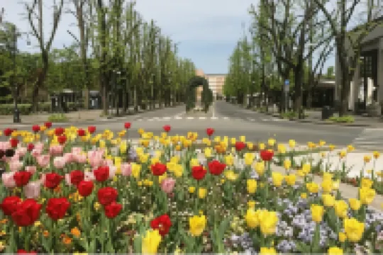 房間和早餐戴安娜E Ninni