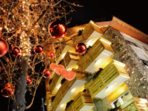 Sport Hotel S. Vigilio Hotels in Moena