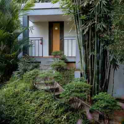 Casa Rio Resorts Athirappilly Hotel Exterior