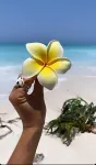 ゲストハウスキホリヌングウィ