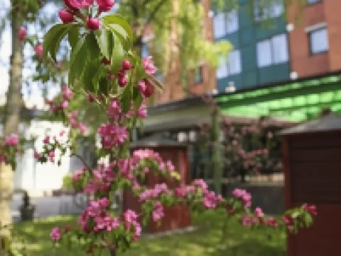 Amrita Hotel Hotels in Liepaja