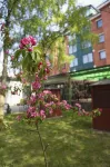 Amrita Hotel Hotels in Liepaja