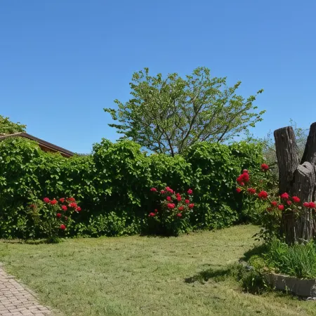 Podere la Damesca - Agriturismo "La Fraschetta"