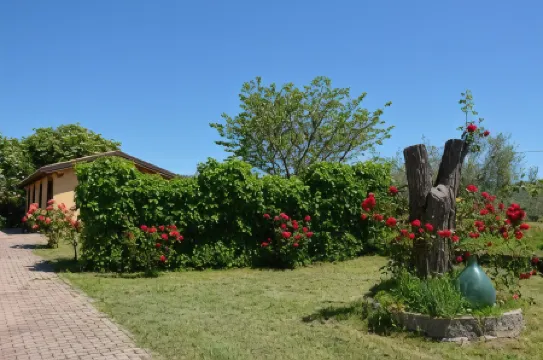 Podere la Damesca - Agriturismo "La Fraschetta"