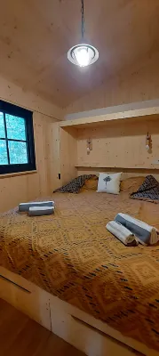 Cap Town cabin in the forest - Hytter