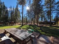 Retreat to Serenity Pines! Family Fun, Relaxation & Modern Comforts w/ RV Space! Hotels in Seeley Lake