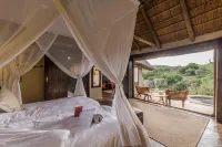 Safari Lodge - Amakhala Game Reserve Hotels in Kirkwood