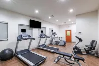 Holiday Inn Express & Suites PRYOR by IHG - gimnasio