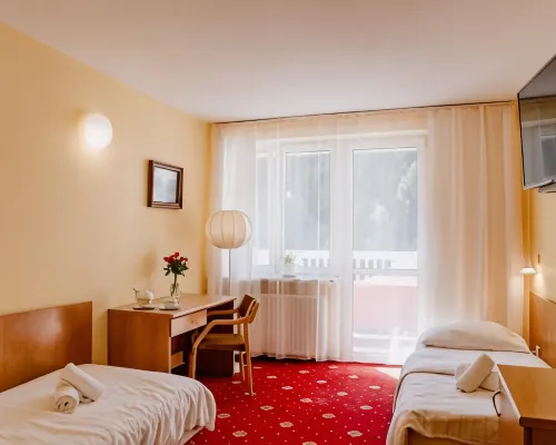 Geovita Krynica-Zdroj Hotels in Nowosadecki