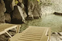 Onyang Hot Spring Hotel - Suối nước nóng