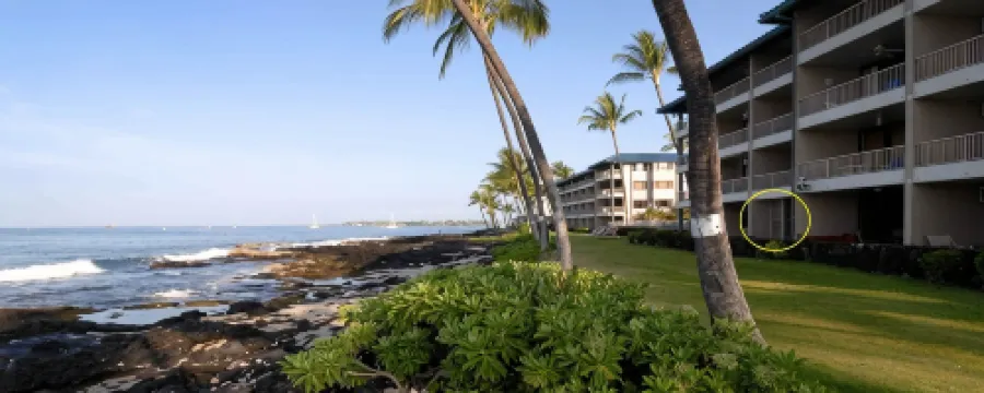 Quite Simply THE BEST Kona Reef Oceanfront. 霍盧阿洛阿酒店