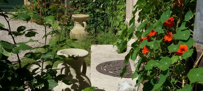 Cocooning Avignon Hotels in Avignon