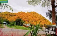 Sawasdee KhaoYai