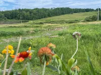 Quiet 2-bedroom country cabin with scenic views 3 miles from Norwich NY.