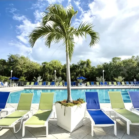 Your Happy Place - gorgeous 2 bed 2 bath oceanfront suite with full kitchen