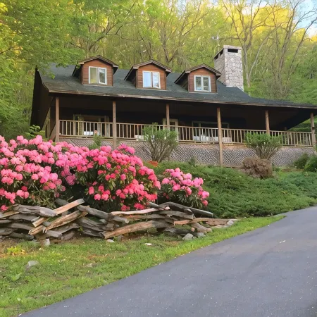 Casual comfort between Boone & Sugar. A retreat w/ soul, High Country centered.