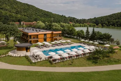 Lopota Lake Resort & Spa Ξενοδοχεία στην πόλη 