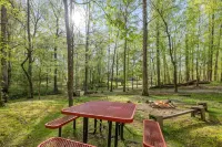 Log Cabin, Utk/Neyland, Smokies, 16Acres, FP, HotTub, GameRoom,Fishing,Golf,Pets