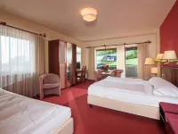 Sauerland Alpin Hotel Hotels in Schmallenberg