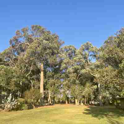 Patricia's Garden Studio at Swallows Welcome farm, close to Margaret River Hotel Exterior