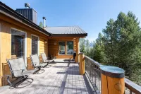Cozy Cabin in Stanley Basin!