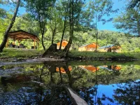NEW PARADISE RETREAT - Hatfield Mccoy Trails - Rent 1-3 Cabins, Sleep up to 18