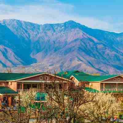 The Orchard Retreat & Spa Hotel Exterior