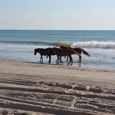 Outer Banks Family-sized Vacation Home 10-minute Walk from the Beach.