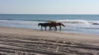 Outer Banks Family-sized Vacation Home 10-minute Walk from the Beach. - balcony