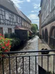 Exklusives Ferienappartement Mitten in den Weinrebenfeldern der Südpfalz - Apartments