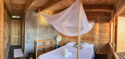 Ballelita Hotels in 