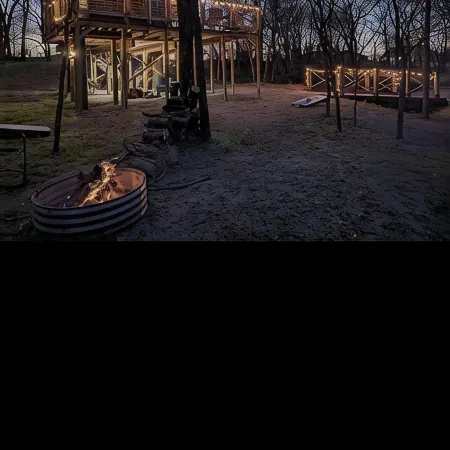 Fun & Magical Treehouse