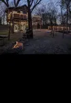 Fun & Magical Treehouse - 3-Star