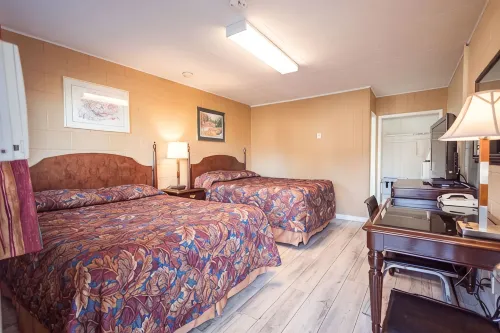 Gold Pan Motel - Pet friendly