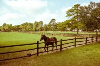 Tanglewood Farm - Fox Den Suite 1 Br/1BA Private Apartment on Horse Farm - 4-Star