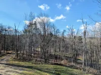 Serene & private getaway 5 min. from EVL. 4 beds, 2.5 baths, sleeps 14, hot tub. - 4-Star