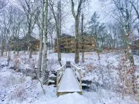Ski in/out, AC, Gas Fireplace, Wifi, Coffee Bar, 1 Dog ok! - 2-Star