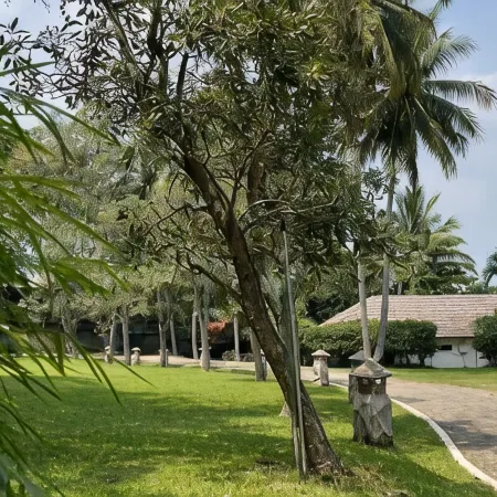 Bukit Arumdalu