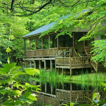 Peaceful Secluded Cabin  in Mountain City.