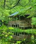 Peaceful Secluded Cabin  in Mountain City. - Wifi