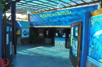 Condomínio Astúrias - Lejligheder